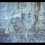 Drill a Hole in That Substrate and Tell Me What You See * by Jim (Folk) White (CD, Feb-2006, V2 Records USA)
