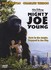 DVD: Mighty Joe Young - Regina King DVD: Mighty Joe Young - Regina King
