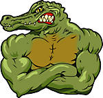 ali-gator-goods-01