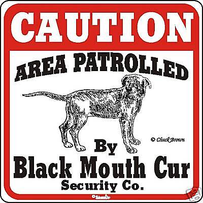 Black Mouth Cur Caution Dog Sign - ...