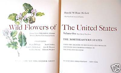 Wildflowers of the United States, Northeastern States