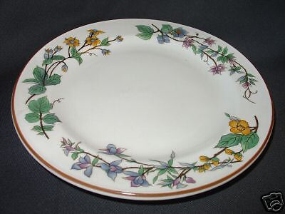 WOODHILL CITATION DINNER PLATES  