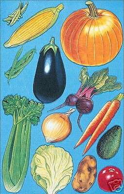 BETTY LUKENS VEGETABLES 12 FLANNEL BOARD FELTS SOUP  