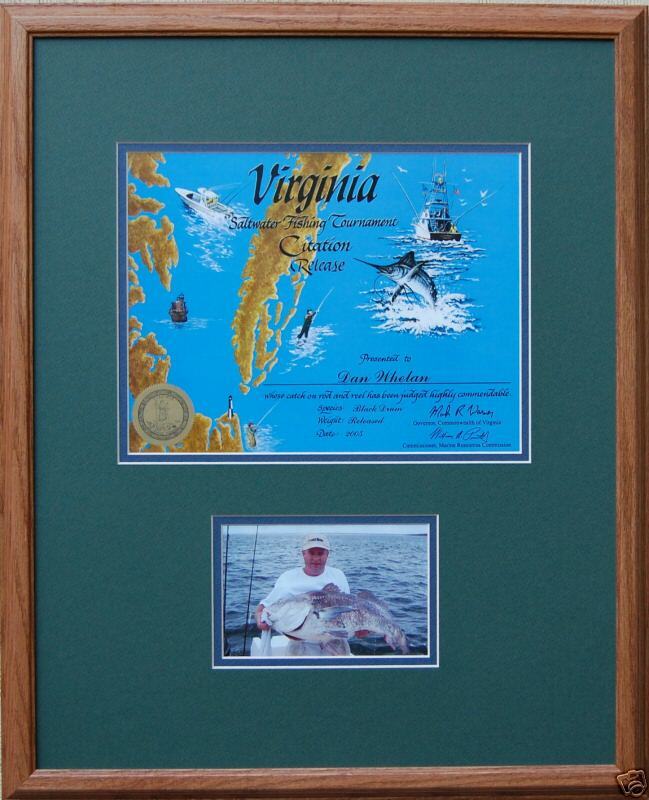 Virginia Citation Framed Fishing Trophy 16 x 20  