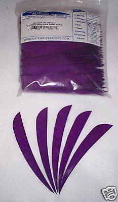 Gateway 5 LW Parabolic Feathers Barred Purple Pkg 100  