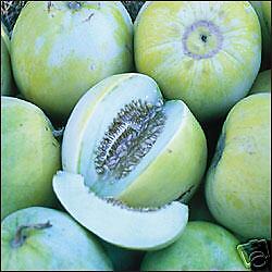 MINI MELON SEEDS COLLECTION/ short season varieties   