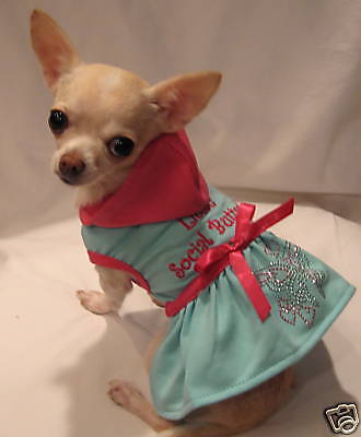 Dog Clothes/Social Butterfly Dog Dress/Hoodie/Chihuahua