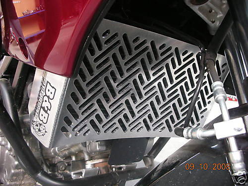 Suzuki DL 650 V Strom Alloy Radiator Stone Guard  