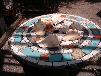 Vintage Retro Mosaic Concrete Table Bench Old Florida  