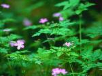 un-dimanche-a-lacampagne